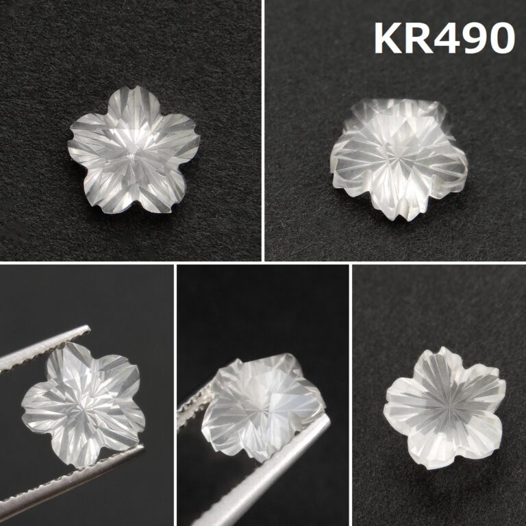 KR490