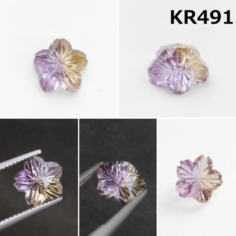 KR491