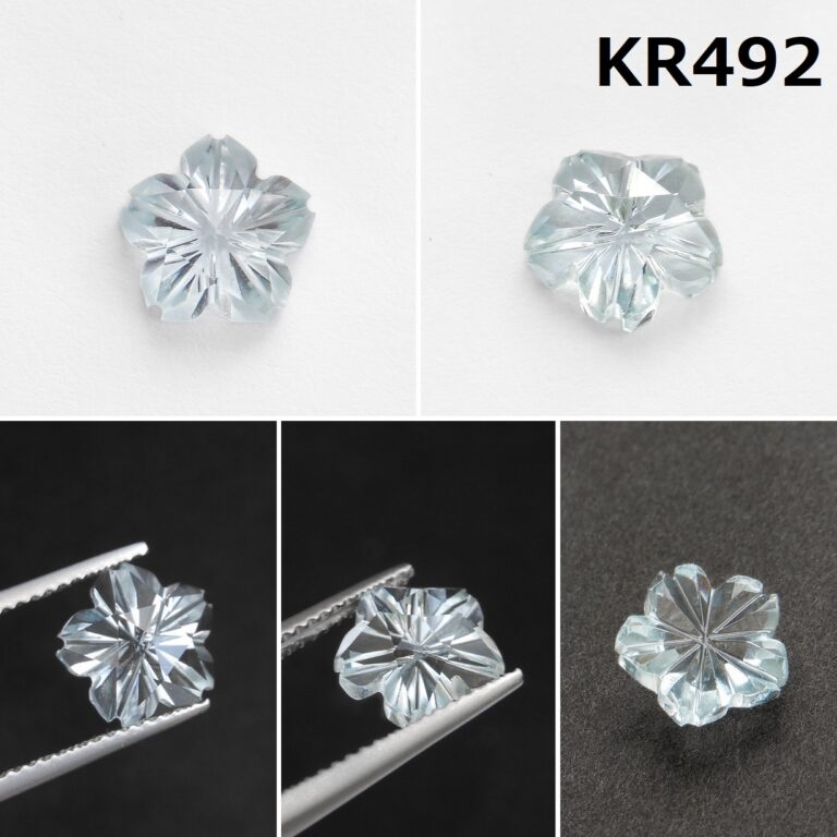 KR492