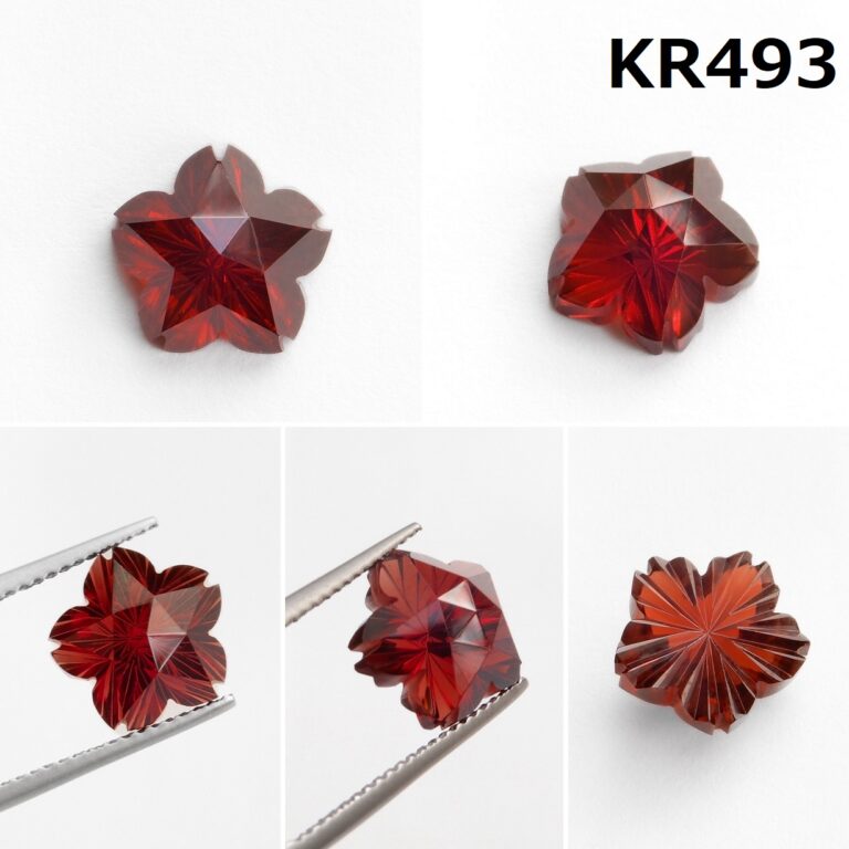 KR493