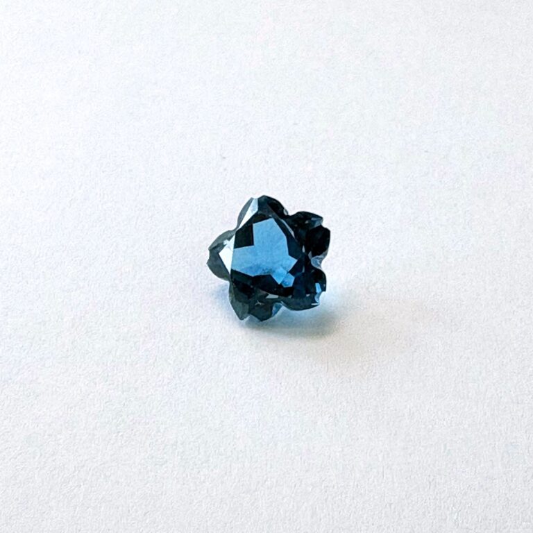 SS010