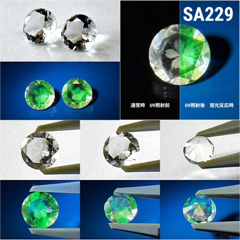 SA229