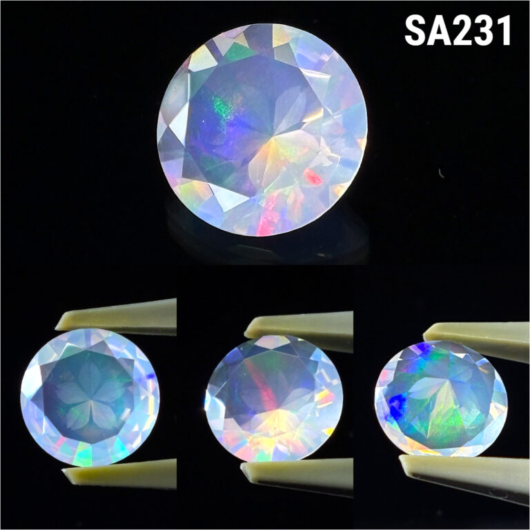 SA231