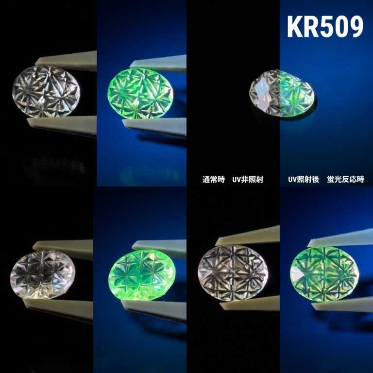 KR509